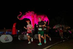 BIB: 
                            <button type="button" onclick="openModal(26543763)" class="btn btn-primary btn-sm float-right btn-popup" data-toggle="modal" data-target=".modal-high-quality">
                        <i class="fas fa-shopping-cart"></i> Add to Cart
                    </button>
                                            <button type="button" onclick="isThisMe(26543763, true)" class="btn btn-success btn-sm float-right btn-popup btn-isme hidden" data-toggle="tooltip" data-placement="bottom" title="นี่คือรูปของคุณใช่ไหม คลิกที่นี่เพื่อเอาเข้าอัลบั้ม">
                        <i class="fas fa-plus"></i> Add to album
                    </button>
                    <button type="button" onclick="isThisMe(26543763, false)" class="btn btn-warning btn-sm float-right btn-popup btn-isnotme hidden">
                        <i class="fas fa-ban"></i> Remove from album
                    </button>